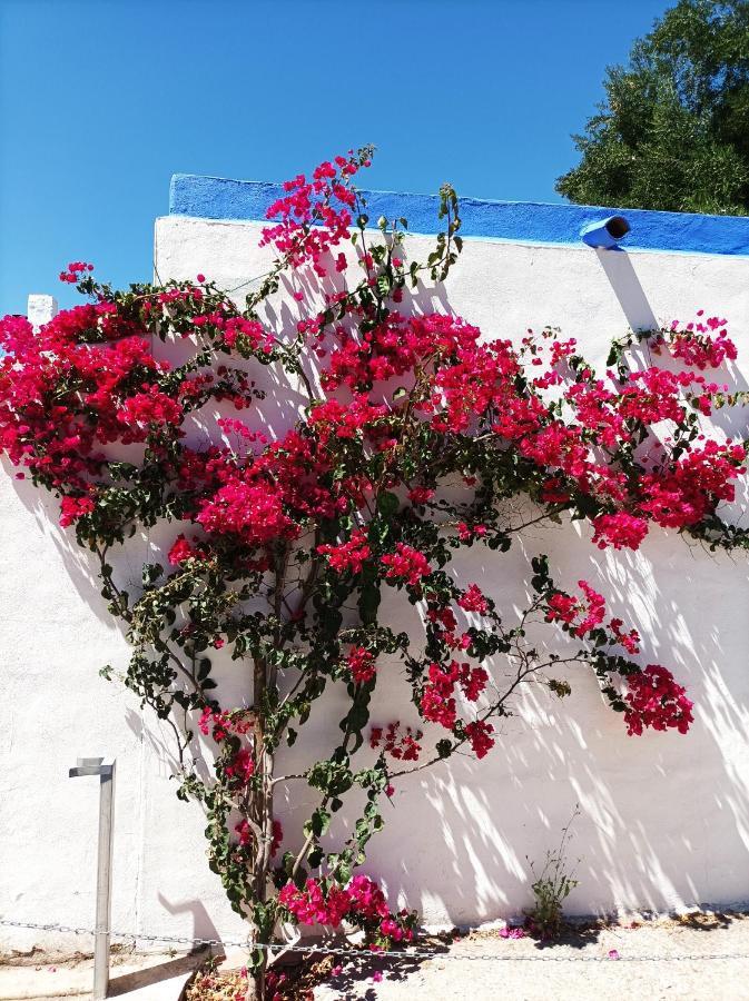 Casa Kilmar Acomodação com café da manhã Vejer de la Frontera Exterior foto