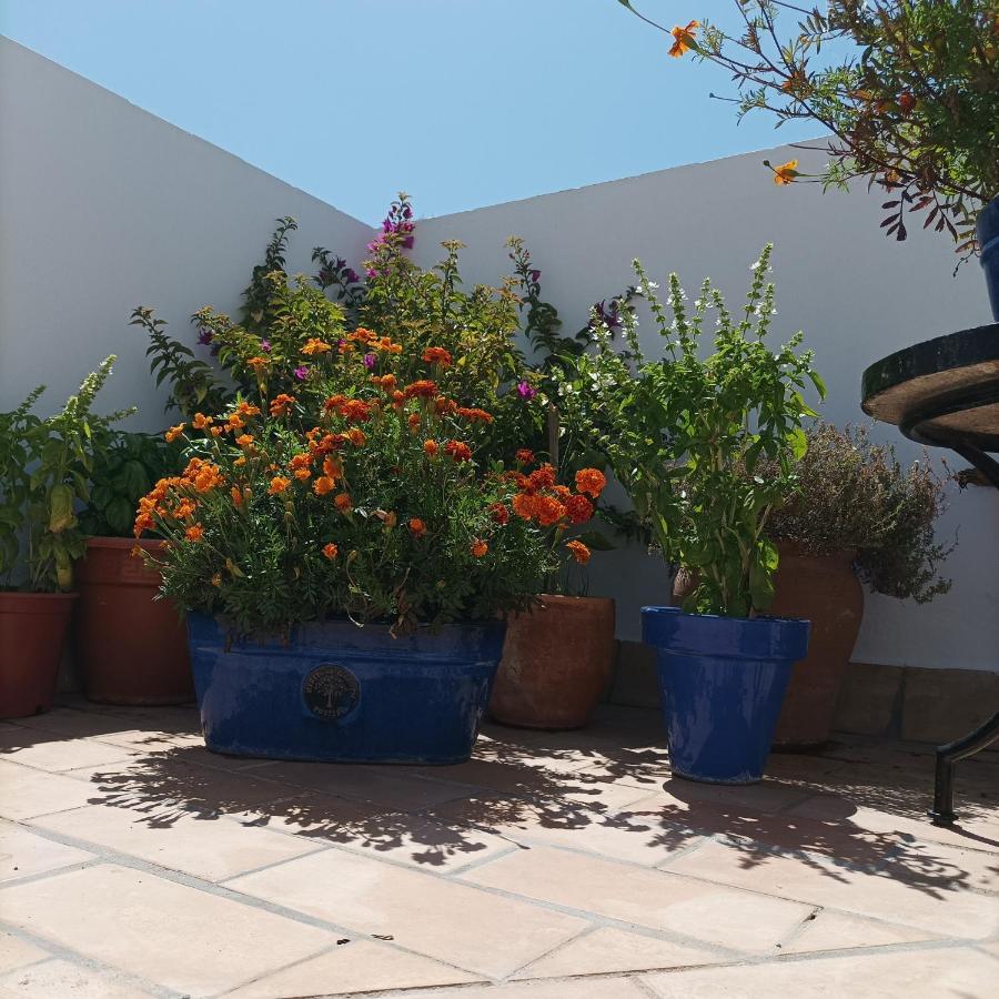 Casa Kilmar Acomodação com café da manhã Vejer de la Frontera Exterior foto